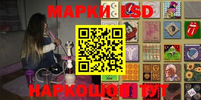 шишки Кимры