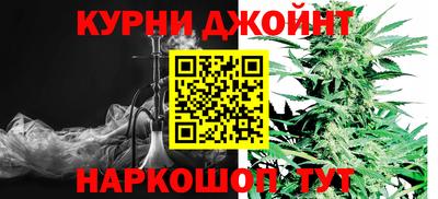 трава Камышлов