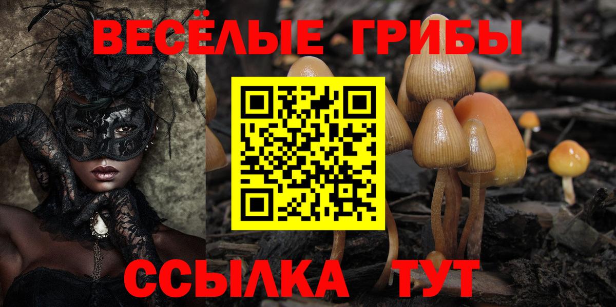 Галлюциногенные грибы ЛСД Ангарск